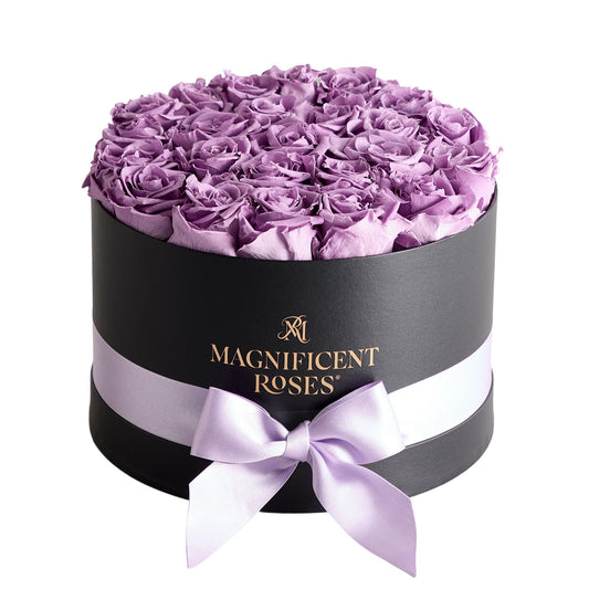 Premier Preserved Lavender Rose Collection