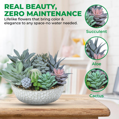 Premium Artificial Succulent Plant Collection