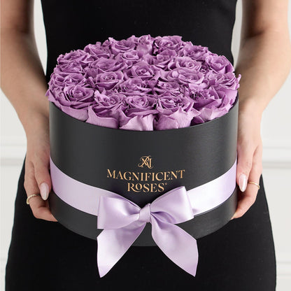 Premier Preserved Lavender Rose Collection