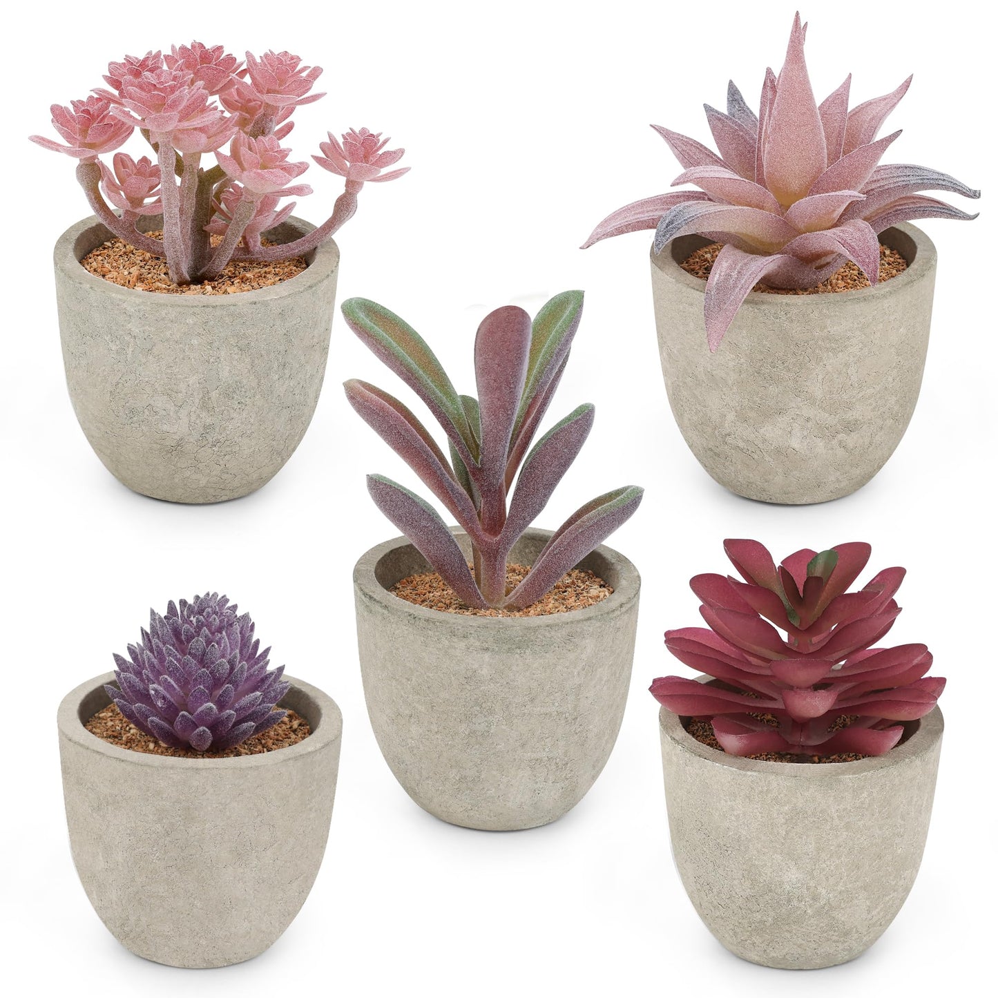 Assorted Faux Succulent Plants Set Of 5